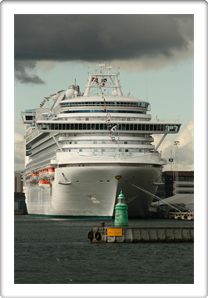 EMERALD PRINCESS     9333151